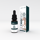 flasche pferde cbd-öl mit verpackung