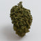 CBD Flower podjetja Cannatrends