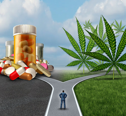 Grafik links Medikamente in der Mitte eine Straße mit einer Person rechts ein Hanfblatt